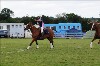 UKPA NC SAT_2904